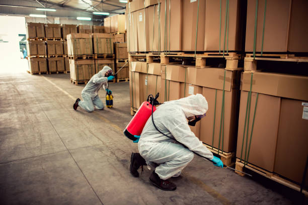 Best Pest Control Near Me  in Stro Valley, CA