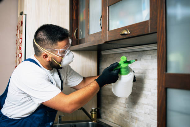 Best Commercial Pest Control Services  in Stro Valley, CA
